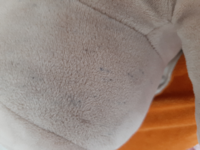 ぬいぐるみにカビが生えてしまいました 点々としたカビなのですが カビを落 Yahoo 知恵袋