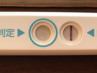 排卵検査薬 高温期8日目 フライング