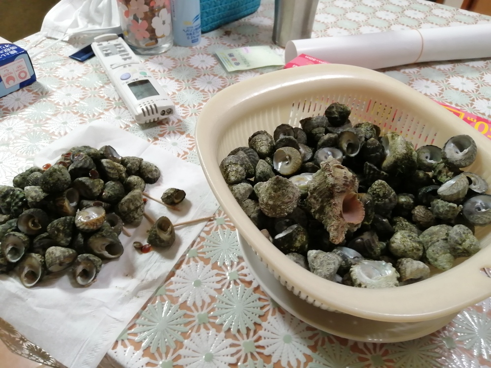 最近は 貝の密猟はおとがめとかないのではないでしょうか 夏になると 一時間位車 Yahoo 知恵袋