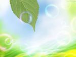 Summermadnessの意味教えてください Sum Yahoo 知恵袋