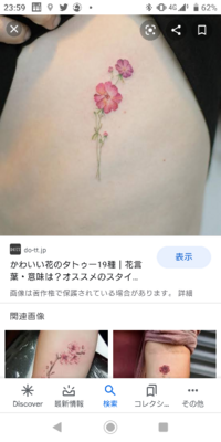 花言葉 愛する父親とペットを亡くし 今の気持ちを花に託して花の Yahoo 知恵袋