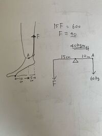 第３種のテコの計算式を教えてください 重量wの値は２０ｋｇｆそこから支点ま Yahoo 知恵袋