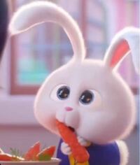 このウサギ なんの映画に出ているウサギかわかる方教えて下さい ペット Yahoo 知恵袋