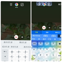 インスタグラムのストーリーズがアップデートされてから 文字入力がおか Yahoo 知恵袋