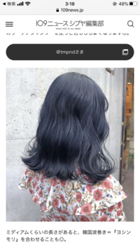 ブルーブラックに染めたいのですけど ブリーチは必須ですか 画像のよう Yahoo 知恵袋