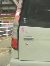 最近車にリボンみたいなステッカー貼ってあるのを よく見るけどあれ Yahoo 知恵袋