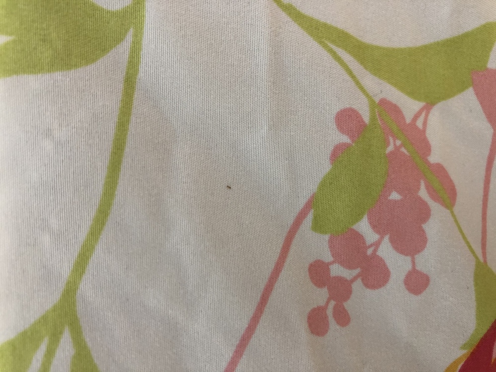 困っています ダニ について数日前気付きました 毎日寝る前にコロコロ Yahoo 知恵袋