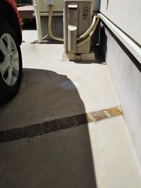 家の外の糞とその対応について最近家周りのコンクリート部分を掃除してから写真のよ Yahoo 知恵袋