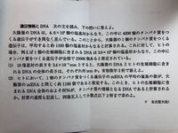 Dnaの計算下記の写真の １ のヒトのdnaの全体の長さの求め方 3 Yahoo 知恵袋