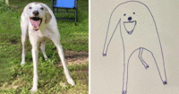 犬の絵です。どう思いますか？感想をお願いします。 - 笑。かわいいよ。 - Yahoo!知恵袋