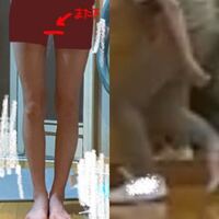 175センチで股下79センチというのは長いでしょうか 女性の皆さ Yahoo 知恵袋