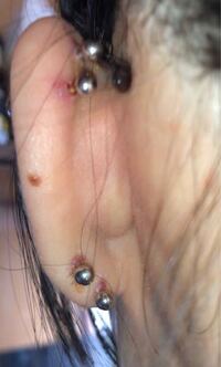 バイトの時だけピアスを外すのはやめといた方がいいですか バイトがピアス禁止 Yahoo 知恵袋