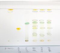 光合成色素の分離で薄層クロマトグラフィーを行ったところ次のような結果 Yahoo 知恵袋