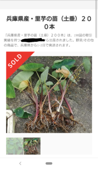 この里芋の品種は土垂ですか 茎 葉柄 が赤いので本当かどうか心配で 紅ず Yahoo 知恵袋