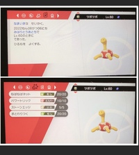 ポケモンのツボツボってステータスが特殊ですけど対戦環境とか大会で活躍 Yahoo 知恵袋