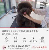 ポケモンの 白い犬みたいな感じで青の触覚みたいなのが一本生えてるや Yahoo 知恵袋