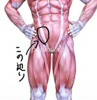 高校三年生男子です 3日前くらいから右下腹が痛いです 痛みは筋 Yahoo 知恵袋