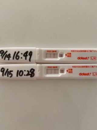 初めて排卵検査薬使います 生理開始から14日後の昨日検査薬使い Yahoo 知恵袋