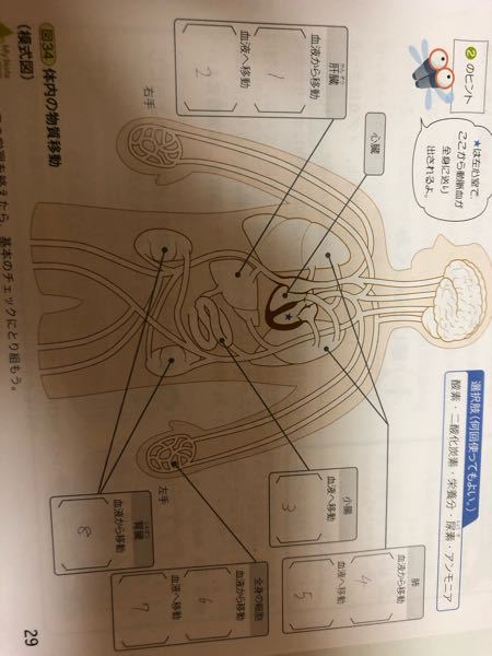 妹の課題です 私にはお手上げなので教えてください 中学2年の理科です 番 Yahoo 知恵袋