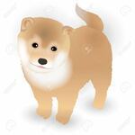 竹原 です 喜んでくれた を尊敬語にすると 喜んでもらってくれました Yahoo 知恵袋