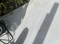 コンクリート マット 自転車 サビ