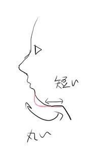 画像のように顎が小さく丸いせいで締りのない顔をしています 顎がすごく Yahoo 知恵袋