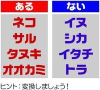 漢字でいぬは犬ですね 他の動物はほとんど けものへん が付きますが 犬 熊は何 Yahoo 知恵袋