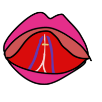 ドラゴンボールのモナカって結局冗談抜きでビルスに匹敵するほど強かっ Yahoo 知恵袋