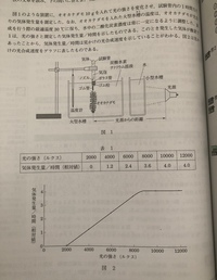 大型水槽の前に小型水槽を置くのはなぜか教えてください 光の強さを安定させるため Yahoo 知恵袋