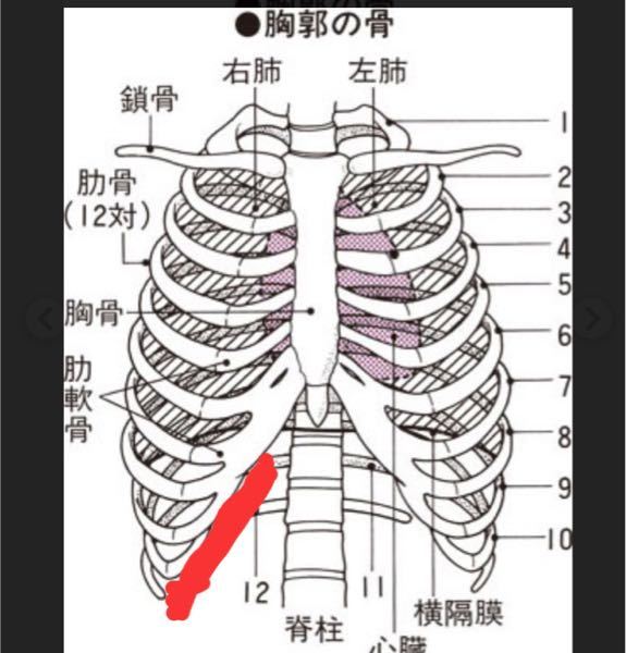 病気 症状 解決済みの質問 Yahoo 知恵袋