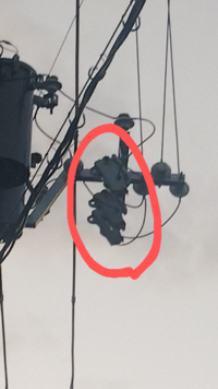 電柱と電信柱の見分け方などあるでしょうか ついでにリンクなど貼って頂 Yahoo 知恵袋