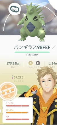 今のポケモンの環境でガブに竜舞 バンギに不意打ちおぼえさせて ゲームが壊れると Yahoo 知恵袋