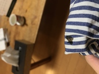 パンツに何かのフンのような茶色いものが付いていたのですが これが何かわかる方は Yahoo 知恵袋