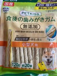 犬がガムを丸呑みしました 昨夜うちのチワワ１０ヶ月が長さ４セン Yahoo 知恵袋