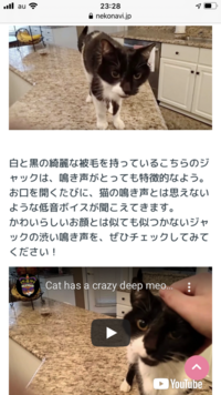 低音ボイスになってしまう猫は病気だからですか ありえませんか Yahoo 知恵袋