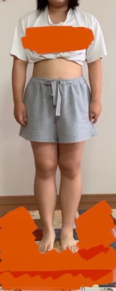 こんにちは身長156センチ体重64キロの高校女子です 自分はぽっちゃりだ Yahoo 知恵袋