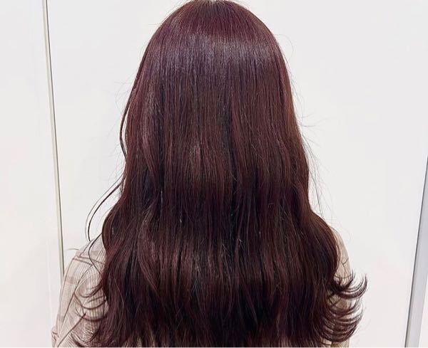 これぐらいのレッドブラウンなんですがブリーチなしではいるでしょうか Yahoo 知恵袋