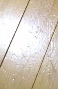 フローリングの補修の仕方傷が広範囲のためニスとか全面に塗ってキズが隠れますか Yahoo 知恵袋