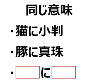 大喜利 面白い言葉を下さい 同じ意味 猫に小判 豚に真珠 Yahoo 知恵袋