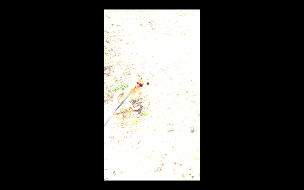 Iphone12proで撮影した動画をmac Bookのimovieで取り込むと添付画像のように動画が白飛びしてしまいます