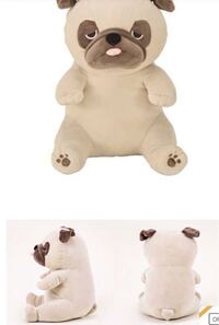 ぬいぐるみに名前をつけるのは痛い子 初めまして 閲覧ありがとう Yahoo 知恵袋