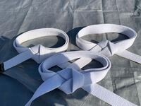 空手の帯の色って何色が一番強くて何色が一番弱いんでしょうか で Yahoo 知恵袋