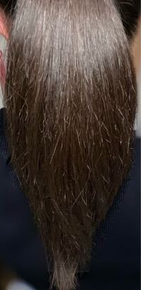 髪の毛のパサつきについて 女の友人がアトピー持ちです 友人はオシャレが好きで Yahoo 知恵袋