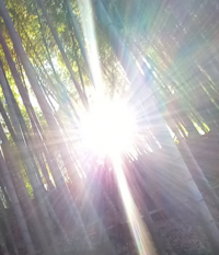 太陽の光がさす に適しているのは 差す 射す のどちらですか Yahoo 知恵袋