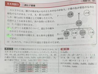 高校生物の遺伝の問題です 画像の問題の 3 の答えが 丸 黄 丸 緑 Yahoo 知恵袋