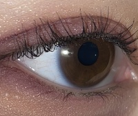 ブルーベースなのに地毛と瞳の色が茶色っぽいというのありえますか Yahoo 知恵袋