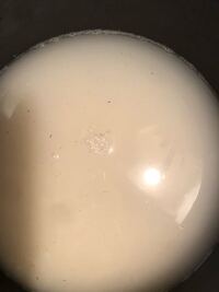コシヒカリを今開けて お米を洗おうとしたら茶色い物体がたくさん出てきました 今 Yahoo 知恵袋