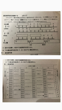 中学校の技術のレポートに関しての質問です 自分で課題を決め Yahoo 知恵袋