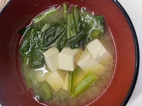 小松菜についていた虫を食べてしまったかもしれません 子供が学校 Yahoo 知恵袋