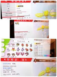 ポケモン剣盾で夢6v色違いメタモンについて質問です 6vメタ Yahoo 知恵袋